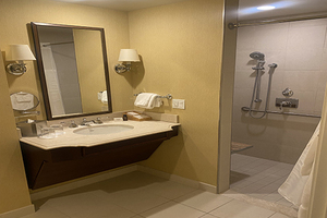 Bathroom inside of an Americans with Disabilities Act traditional room. Fully accessible bathroom including shower, lavatory, water closet and all necessary maneuvering space; all plumbing fixtures, light controls and accessories are within accessible reach heights.